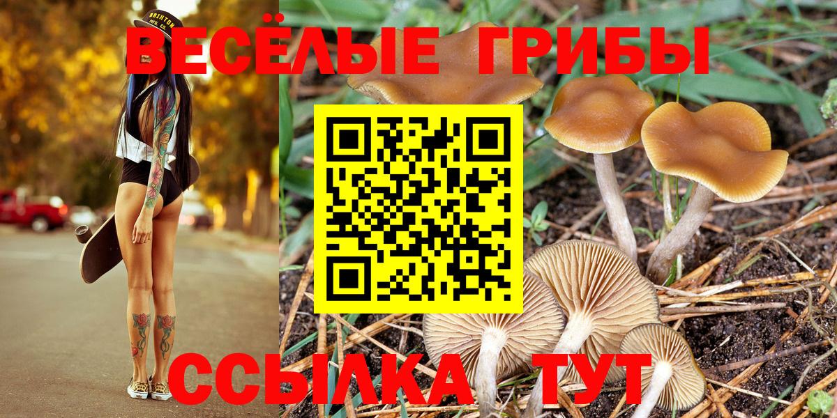 Верхняя Пышма  Галлюциногенные грибы прущие грибы  Вход с VPN 
